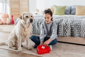 O que fazer em caso de emergência: Primeiros socorros para Pets
